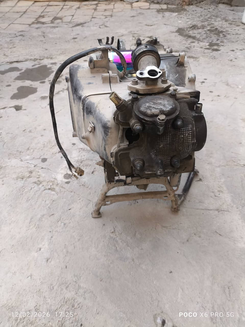 سلام عليكم محرك سكنس فحل للبيع هذه رقم ***********
