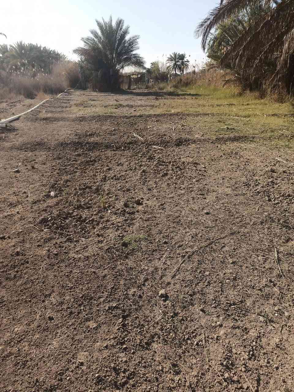 سلام عليكم دونم ونص علابزل شارع ١٠مترسند ٢٥ارض مخدومه سهرهن قفل٣٥٠مليون منطقت الدخانيه


**إذا كنت صاحب هذا الإعلان وتريد حذفه لأي سبب، رجاءا أرسل رسالة إلى الدعم الفني**