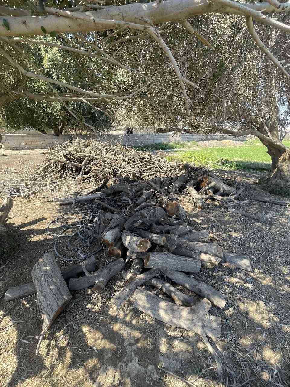 خشب للبيع / الاتصال على الرقم *********** واتساب
