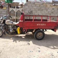 ستوته • كفاله عامه • شاصي وركبه