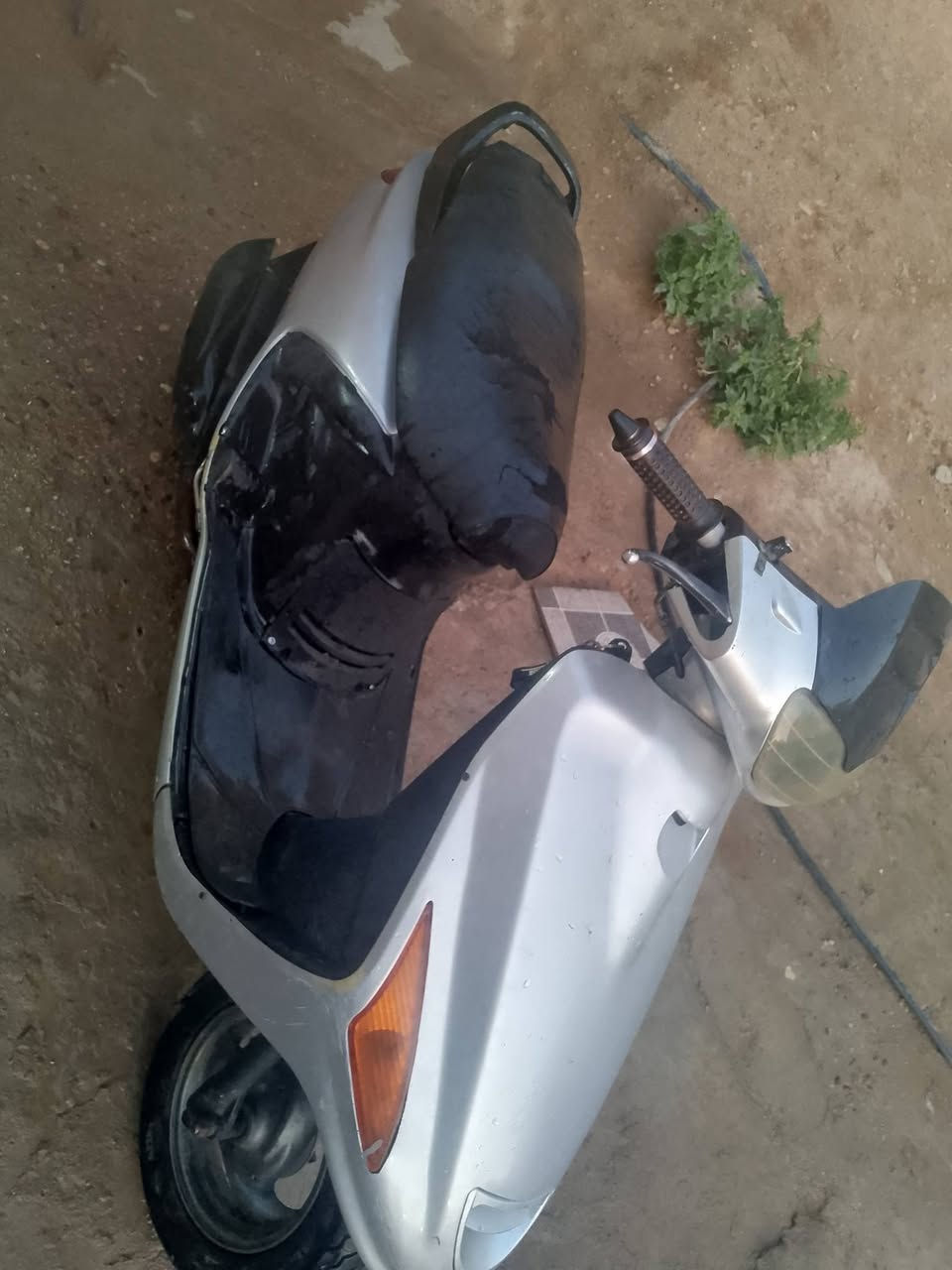 للبيع كلها شغاله بسعر 300وبيها مجال


**إذا كنت صاحب هذا الإعلان وتريد حذفه لأي سبب، رجاءا أرسل رسالة إلى الدعم الفني**