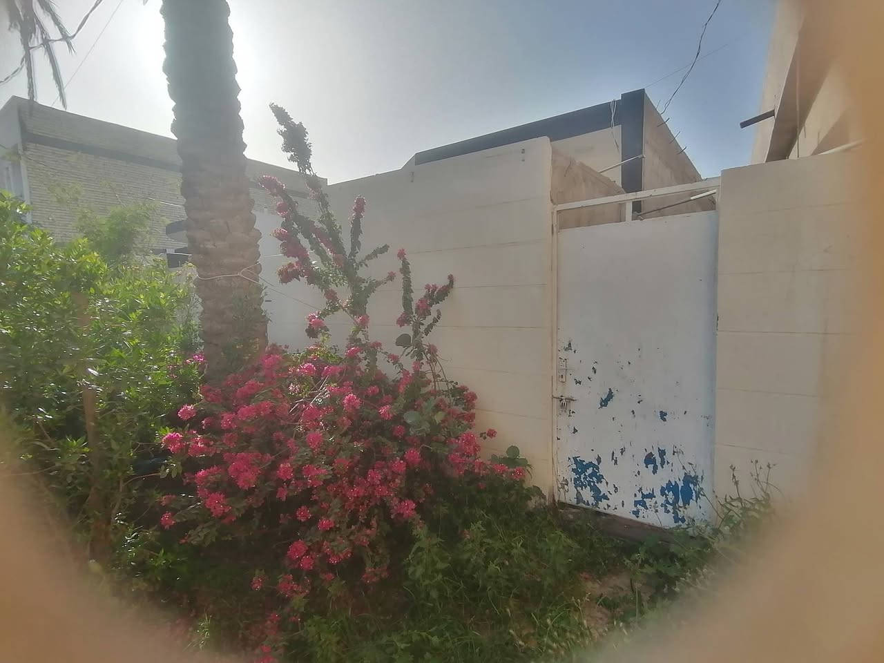 للبيع دار سكن طابق واحد  مساحة 218م
تحتوي  ع 2..غرفتين نوم مع صاله كبيره مع حمام داخلي ومطبخ واسع مع استقبال وكراج بطول 7 مع ترك خلفي  ١م مع مخزن بطول ١٥ م بجانب الدار... للمعلومات ***********

