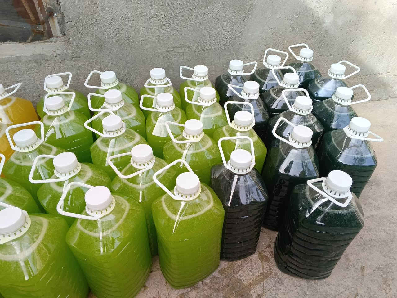 وجبه جديده من الزاهي الدبه 5لتر 
توصيل مجاني 
داخل السعديه  @إشارة


**إذا كنت صاحب هذا الإعلان وتريد حذفه لأي سبب، رجاءا أرسل رسالة إلى الدعم الفني**