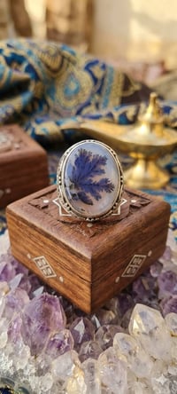 اسعار خاصة • تواصل خاص