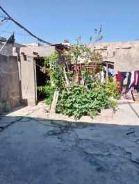 اللهم صلي على محمد وآل محمد  دار 🏠 زراعي للبيع مساحه ١٦٠ متر  مكانه شا...