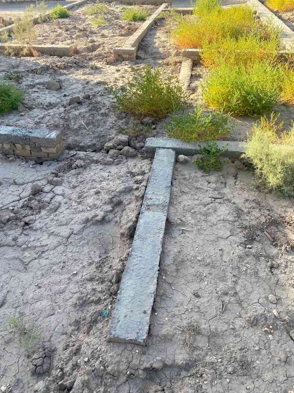 بتلوا مساحة 256
الطول 8/30 متر
المكان حله حي نادر خلف معمل الغاز مباشرة
***********
