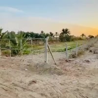 بابل • ٢٥٠٠م • طابو زراعي