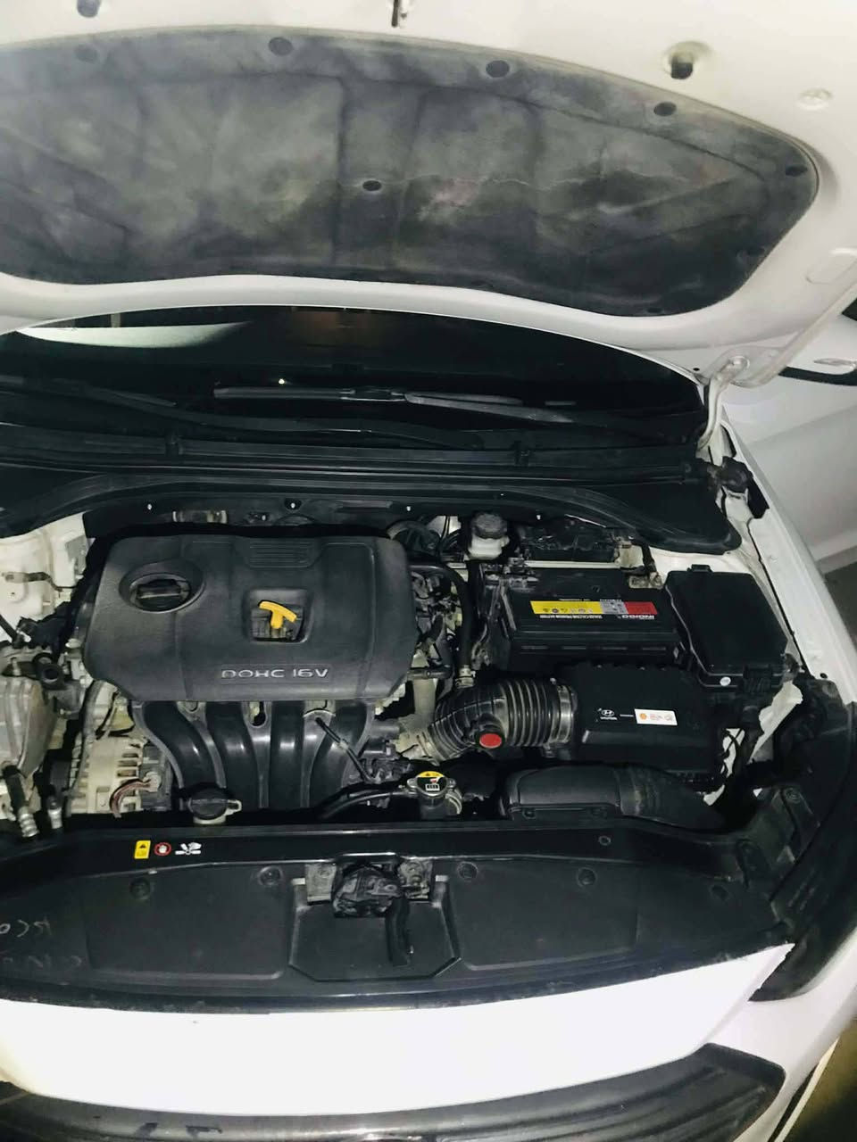 اللبيع انتره خليجي 2017 واسط لوحات انكليزي تحويل ثاني يوم بيه صبغ بلباب لوره سايق ولباقي مكفوله سعر 138 وبيه مجال الاستفسار انتصل ***********
مكان واسط النعمانيه
