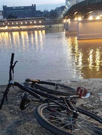 بايك مونگوس: للبيع بطيخات هاسنس زوج سبع الوان ركبة هاسنس سبع الوان. شي...