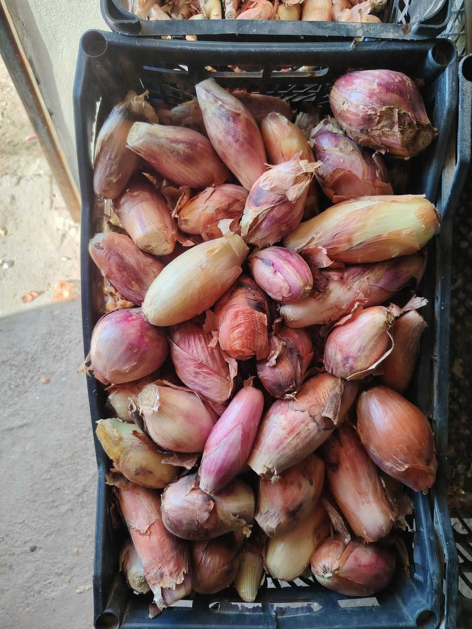 اسواق ابو الوليد ترحب بكم


**إذا كنت صاحب هذا الإعلان وتريد حذفه لأي سبب، رجاءا أرسل رسالة إلى الدعم الفني**