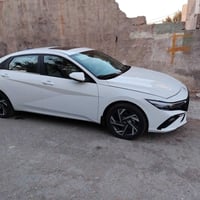 النترا • ٢٠٢٤ • فول خليجي مكفولة