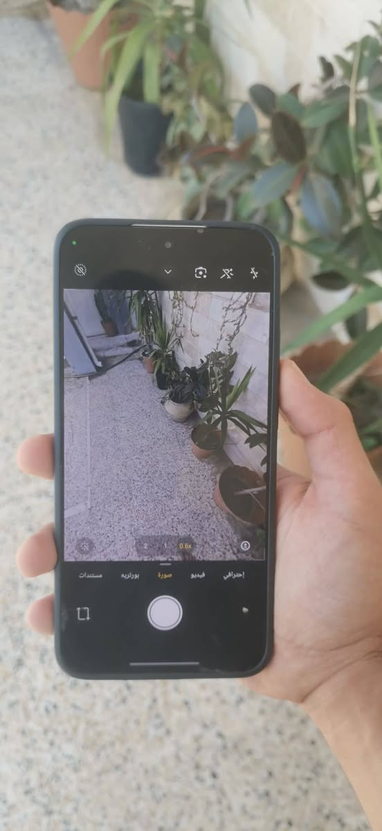 POCO F7
ذاكره 256 GB
ورام 16(12+4)
معالج اسطوري SNAPDRAGON 8S gen 4
وحش الببجي حرفيا 
120 فريم بكل الالعاب
بطارية 6500 قطارةةة شحن 
شحن 90 واط
نسبة البطاريه 99%
فقط بي فطر خفيف بالكلاس
والكامرا الخلفيه مغوشه بس شغاله وال0.6X شغاله طبيعي دمعه
مراوس او بيع سعر خاص


**إذا كنت صاحب هذا الإعلان وتريد حذفه لأي سبب، رجاءا أرسل رسالة إلى الدعم الفني**