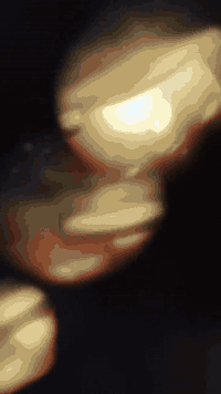 بنات تحفه تحفه بالحقيقه احلى فستان قياس ٣٨_٤٠يجنن بالحقيقه ليبل شي ان ...