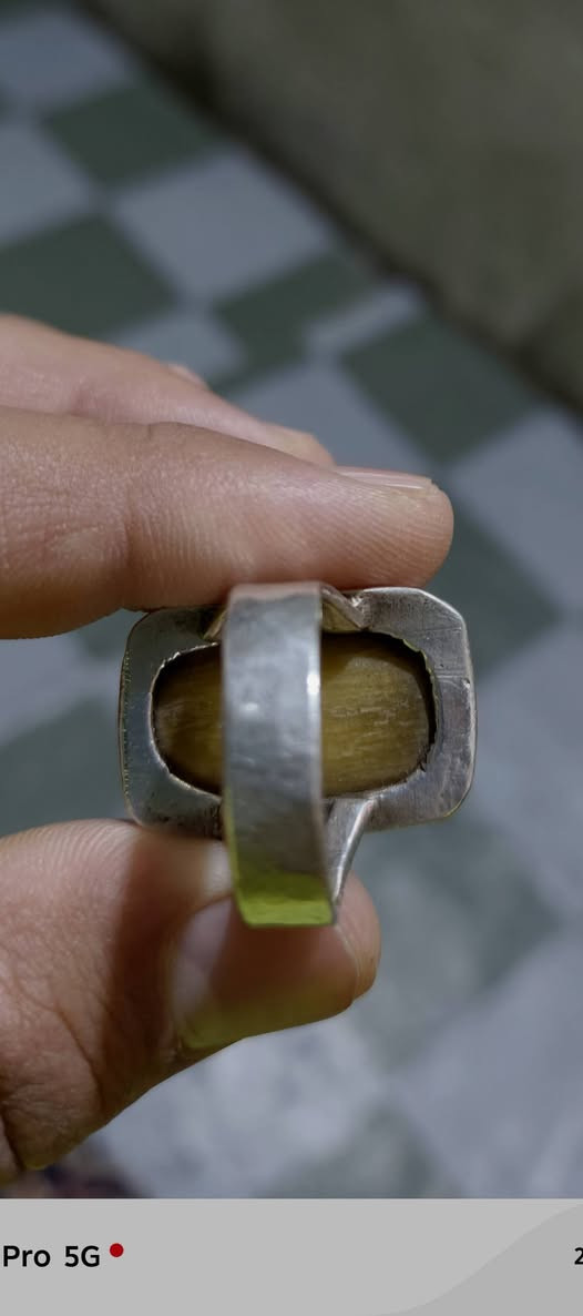 محبس عطف البيع سعر 65الف


**إذا كنت صاحب هذا الإعلان وتريد حذفه لأي سبب، رجاءا أرسل رسالة إلى الدعم الفني**