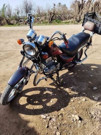 هارلي للبيع 07823546624