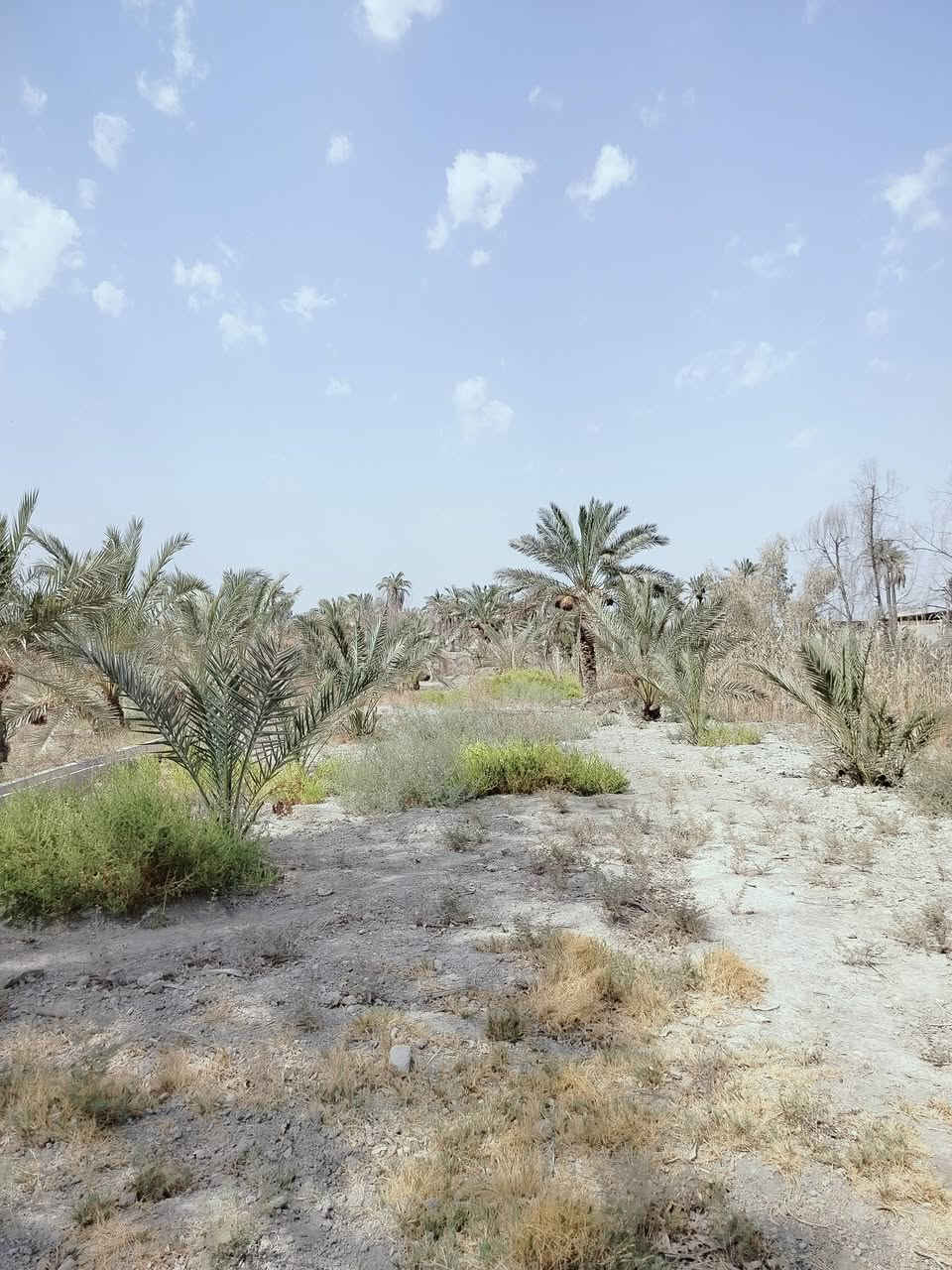 دونمين للبيع 
ابي الخصيب حمدان على نهر حمدان 
طابو ملك صرف تحويل باسم المشتري
السعر 900 مليون قابل للتفاوض 

عنوان المكتب 
شارع 14 تموز مقابل مطعم السوري 
***********_***********
