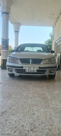 صني ٢٠٠١ • باسمي • صبغ عام