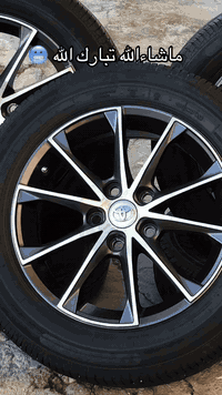 ئه م تايه ويله مان هه يه بوو فروش يان گورينه وه به شتيك به دلم بيت ماشاءالله سفر سفر ويله كان بى كيشيه يه
به يارمه تى ئادمينى دل ❤️🥰
***********
***********
