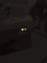 عسل طبيعي سعر كيلو 30 الف لطلب  07714644069