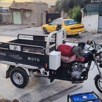 ستوت • سنوي كامل • أوراق شراي