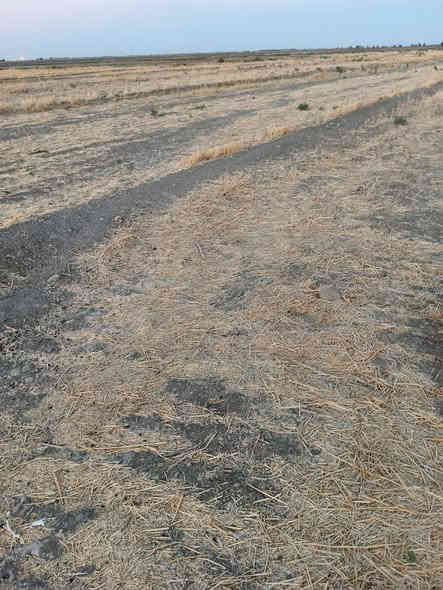 سلام عليكم ورحمه الله وبركاته 
                 بسم الله الرحمن الرحيم 
ارض زراعية للبيع المساحه ٣٥ دونم صالحة للزراعة وشرط الزرع بيها ماطور ابو العشره وغطاسات عدد ٢ مستوفية كافة الشروط من ماء وكهرباء وشارع تبليط قريب عليها ومدارس ومنطقة هادئة وناسها جداً محترمين مكان الأرض الرفاعي صوب بني ركاب منطقة المريبيع  .
السعر وباقي التفاصيل الاتصال على الرقم الموجود بالاعلان 
*********** بي واتساب أو مراسلة الصفحة
