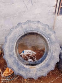 وبركاته   موجود تاير ات مستعملة للبيع  هذني ثنين زغار حجم 24عله 12  اس...