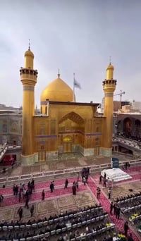 نجف الاشرف • زيارة الامام علي • انطلاق ١ ضهراً