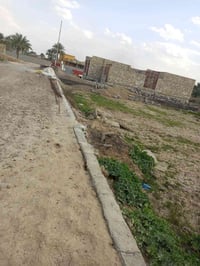 قرية داوود الحسن • ٢١٠م • ملك صرف زراعي