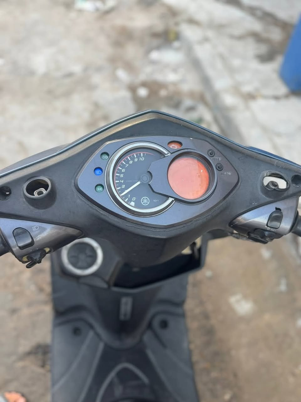 سلام عليك سكنس فحل للبيع فقط                                              نوزل                                                                                 السعر 950 وبيها مجال                                                         المكان بغداد البلديات                                                                الرقم ***********
