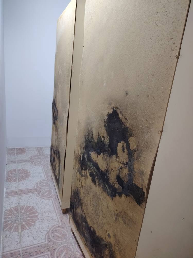 فرۆشتنی خێرا 
ئەم کەنتۆرە سێ پارچە بۆ فرۆشتن 
سعری 250 هەزار 
لە هەولێرە 
واتس ئاپ ***********
---------- أربيل, العراق
