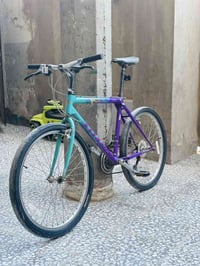 كنت حصان • شيمانو • قياس اكس لارج