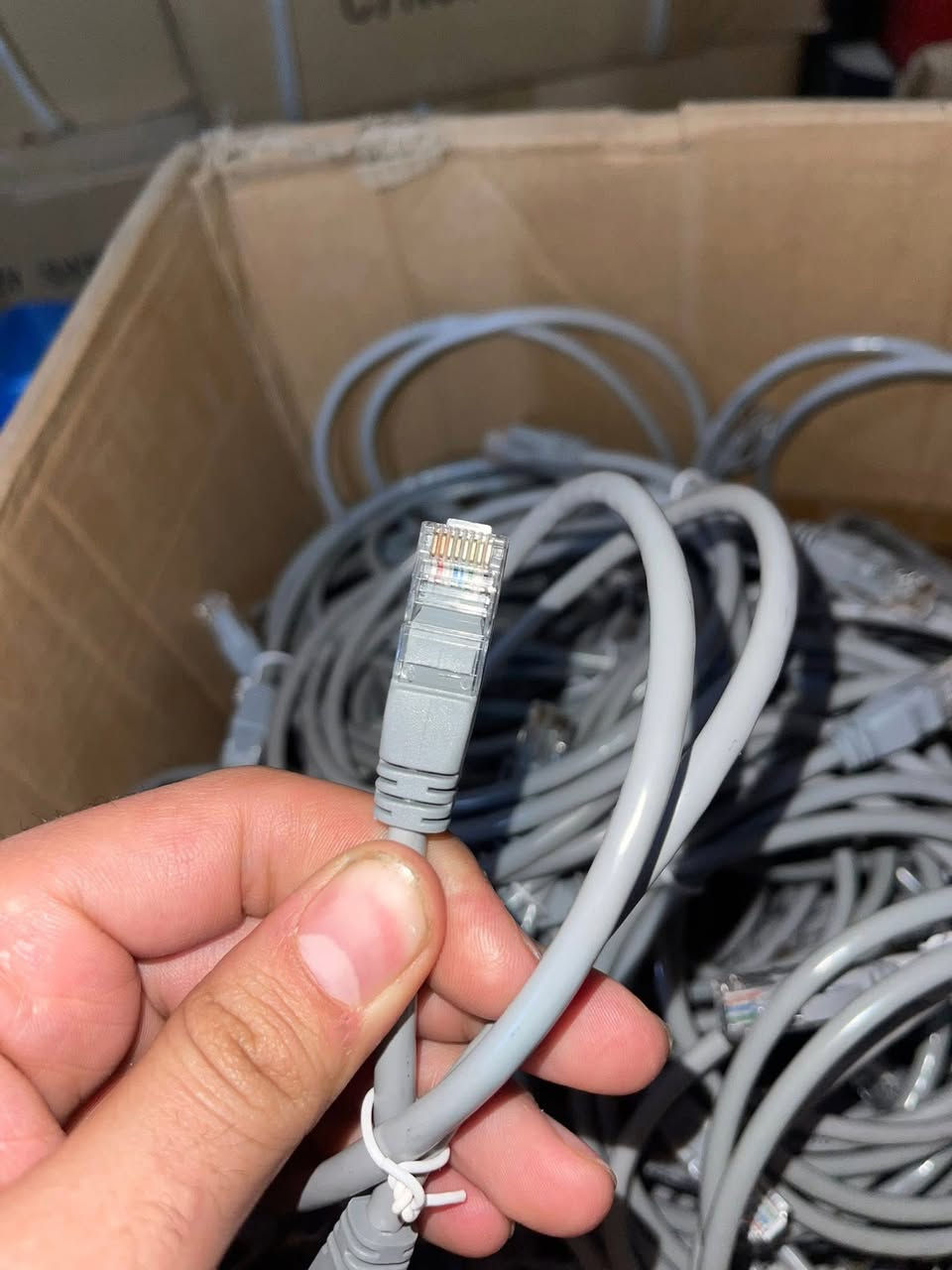 كيبل انترنيت طول متر ونص
ورصاصي طول متر

يعبر واحد كيكا

السعر ٥٠٠ دينار للقطعة

توصيل لكل محافظات العراق ٣  الف


**إذا كنت صاحب هذا الإعلان وتريد حذفه لأي سبب، رجاءا أرسل رسالة إلى الدعم الفني**