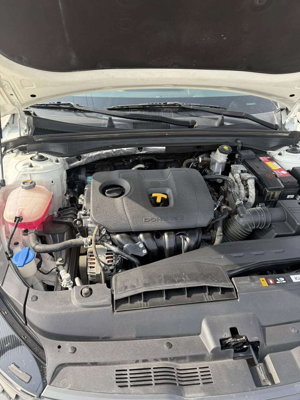 السلام عليكم كياk5موديل 2022مكفوله ماعده طختين موضحات بل صور ماشيه 64الف رقم اربيل تحويل وكاله ماكو مشكله السعر 188
مكاني بصره ***********
