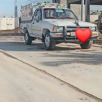 داخلي احمر • باور ستيرن • بدون محجل