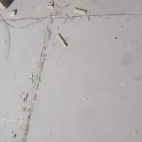 منشار تخريم باله اوربي السعر 60 الواتساب 07700917494 العنوان بغداد حي ...