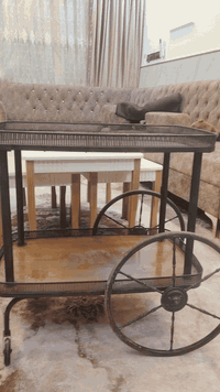 عربانه انتيكه للبيع ***********
