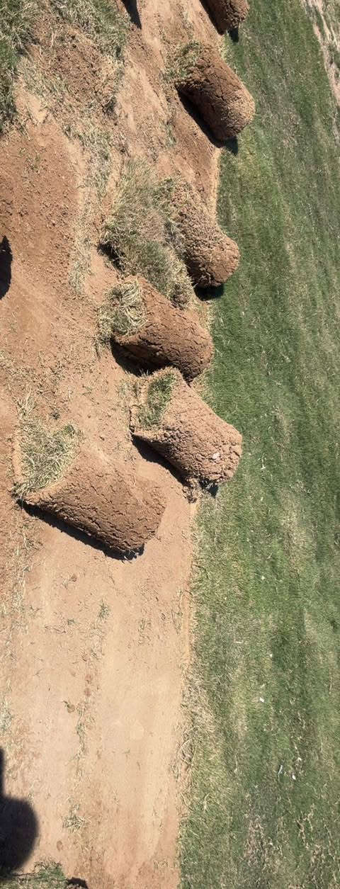 ثيل هندي شرط النظافة درجة اولى
عرض خاص سعر المتر 2000 للطلب الاتصال على الأرقام التالية 
***********
***********
