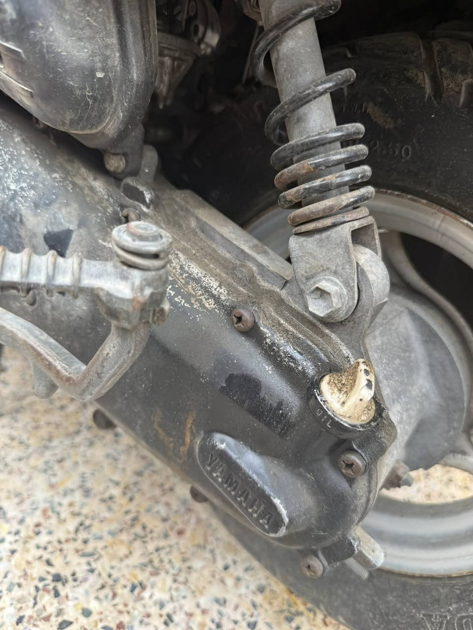 السلام عليكم للبيع منت 60 دراجه جديده مال رمبه نزلته رمبه وعفته بس سلف واكف نكره هندر واحد تشتغل مكينه نشطه قبغ هندر ما مفتوح دراجه جديده سعر 300 وبيه مجال مكاني بغداد السيدية ***********
