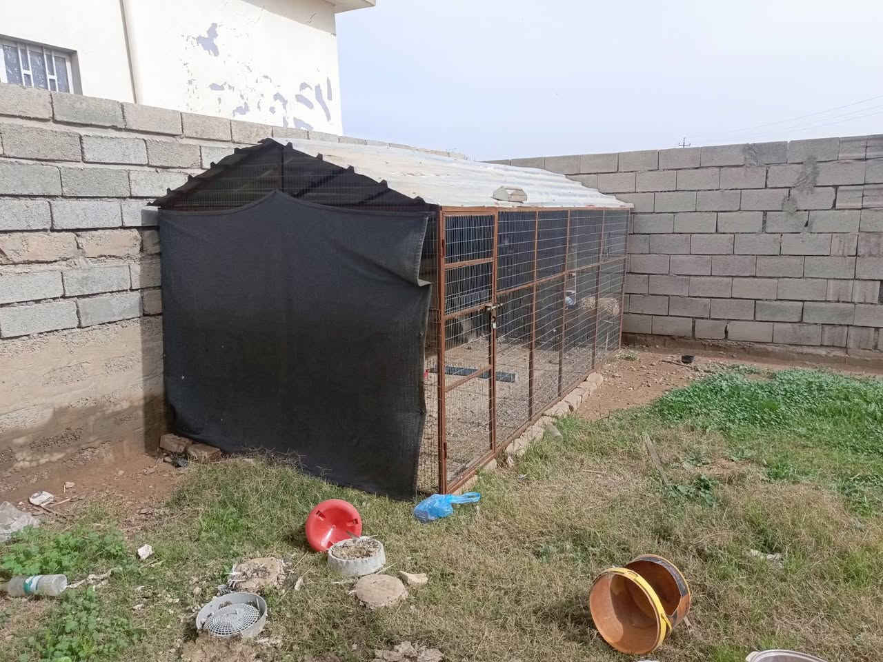 قفص البيع الطول اربعه متر عرض مترين رتفاع مترين مكان مكيشيفه مامتواجد عل فيس سعر 400 وبي مجال بصيط ***********
