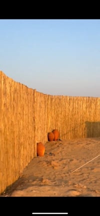 القصب الخيزران متوفر 07724267198