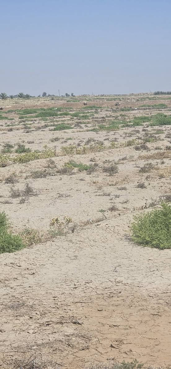 السلام عليكم دونم ونص للبيع على شارع العام قرب المغتسل الخيري متوفر ماء وكهرباء 
صالحه لعددة مشاريع مطعم سياحي وغيرها

اخوان سندها ضايع اتكفل بيها فقط من العشائر اسوي مكاتبه رسميه 

سعرها 40مليون وبيها مجال


**إذا كنت صاحب هذا الإعلان وتريد حذفه لأي سبب، رجاءا أرسل رسالة إلى الدعم الفني**