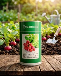📣 متوفر الان 📣  🟣 فجل احمر 🟣  من شركة Top Harvest  🏢شركة الريف الخضراء...