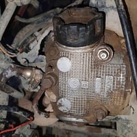 فراشة • نثية • ما بيه نقص