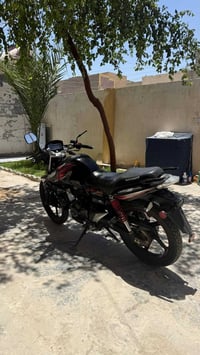 لراي دي • ٢٠٢٣ • ارقام وكيله