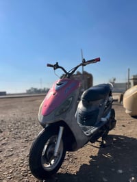 ماكس منغولي • مكينة ناعمة • لكحلي صويرة