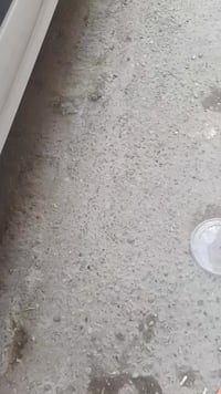 فوتون ٢٠١٥ • جير ياباني • ضريبة ٥ سنوات