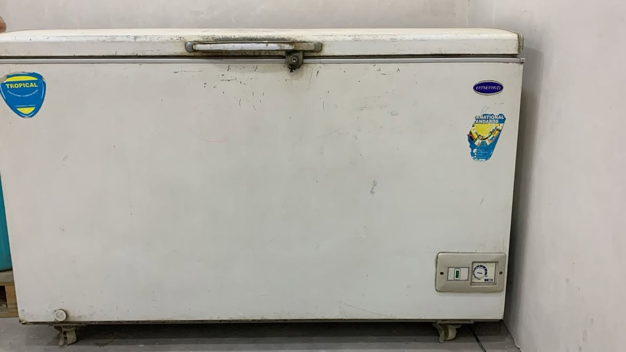 شغاله تجميد ممتاز 
اذا تعليها كل القدره مالتها الثلج يوصل للباب مكاني بغداد اذا تفيدك علق بسعرك


**إذا كنت صاحب هذا الإعلان وتريد حذفه لأي سبب، رجاءا أرسل رسالة إلى الدعم الفني**