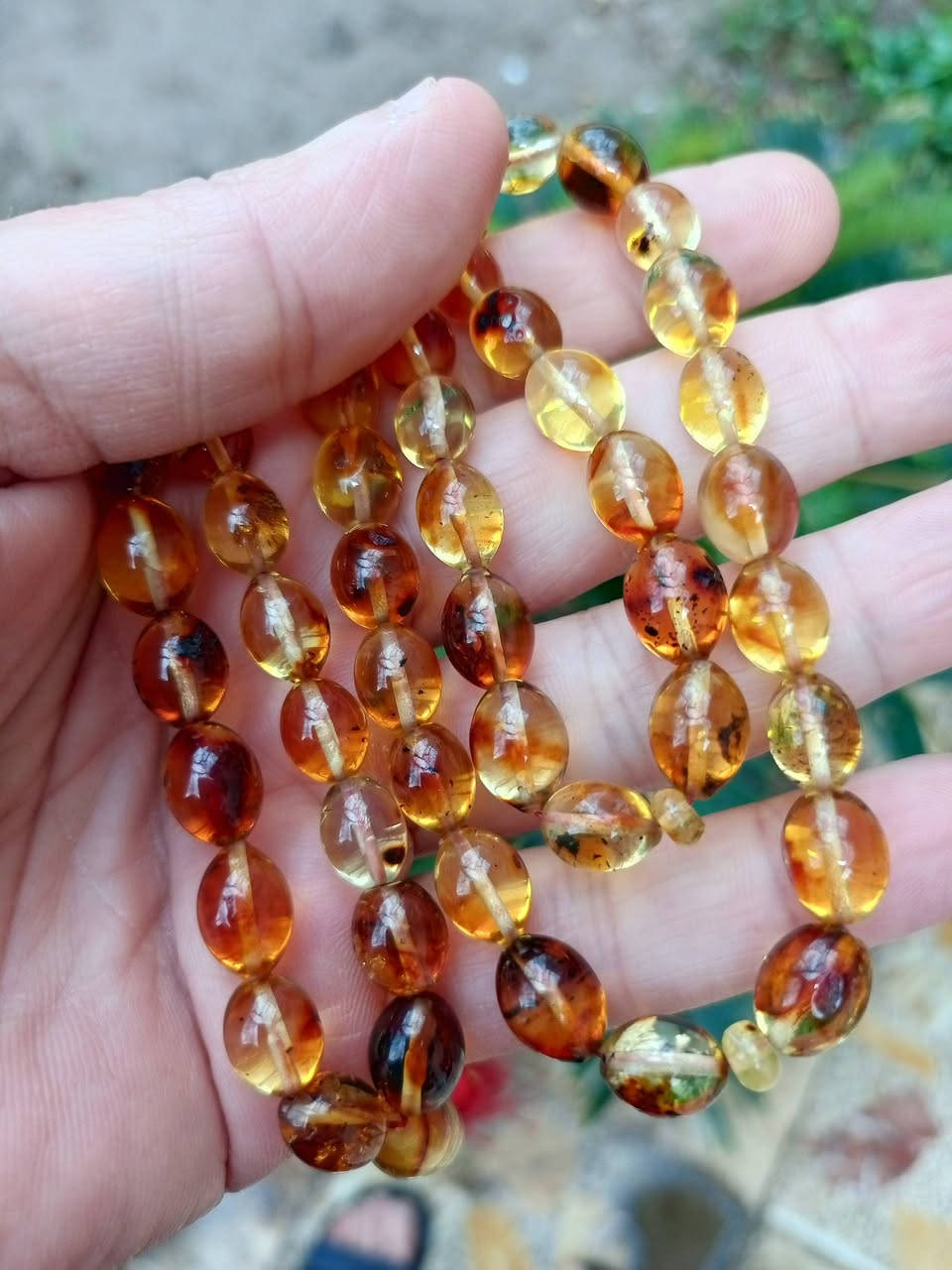 كهرب بولندي حر بحر البلطيق أبو الحشرة ٥١ خرزة عطر نومي بصره بالتسبيح


**إذا كنت صاحب هذا الإعلان وتريد حذفه لأي سبب، رجاءا أرسل رسالة إلى الدعم الفني**