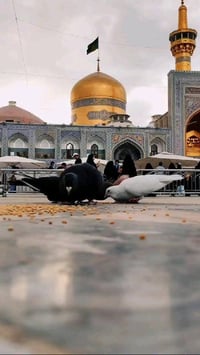 🔔  عن تسيير حملة زيارة دينية📍 إلى الإمام الكاظم (عليه السلام)🗓 يوم الج...