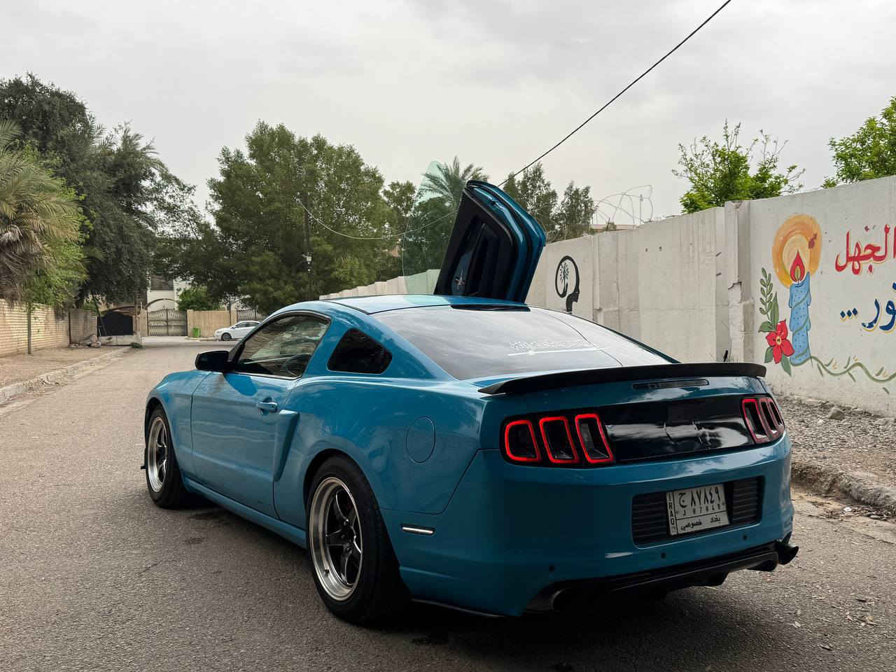 سلام عليكم شباب 
فور موستنك 2014اصل  (3700) v6 🔥
وسياره معروفه بلمنصور ومميزة ومصروف عليه كومه 
سياره عليه تزويد دخل وخارج 
📍شوته مال GT بجم جيتي 
📍برمجه بك فاير طلقات 
📍باب تعليك جكات 
📍دخل لد بحري بلون داخل
📍مكينه وكير كفاله 
شواصي لغود مابيه ولا يرباك 
📍تدفئه  تبريد 🥶 كله شغال 
📍حدث السياره جاملغ فقط 👍🏻
📍سياره رقم بغداد مشروع وطني 
📍تايرات جديده قبل فتره شديتهن له 
📍حداديه جديدة خلفي امامي 
📍ترايك دهوك وشرط تمشي 260 واني بصفك
📍سياره تغير لون جماليه فقط فقط  
📍اكسل كفاله 
📍سياره حفله 🎉
📍تخذه ربع دينار ما تصرف عليه 
(تحويل ثاني يوم  ) 👍🏻 
مكان السياره بغداد الاعضميه  
متواجد +واتساب +مازنجر+هاتف 
*********** 
سعر 💸السياره (87) وبيه مجال حك الجيه بس
